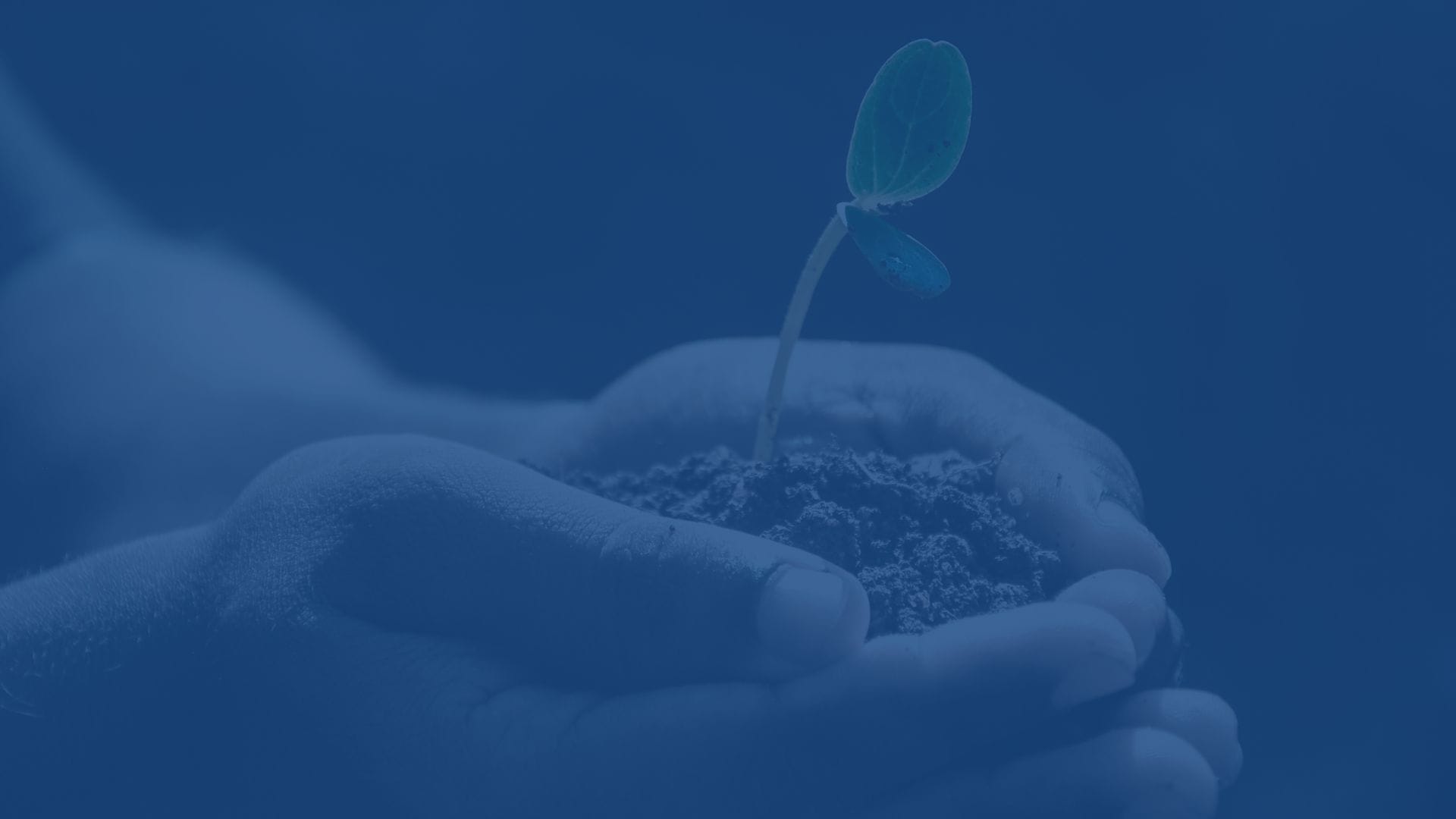 Hands holding soil with a small plant sprouting, symbolizing growth and nurturing.